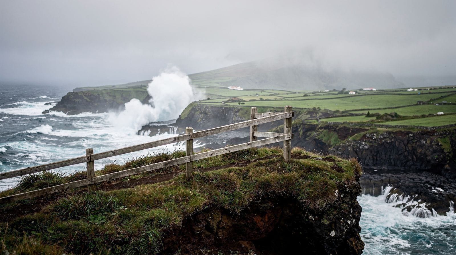 Sem Cobras nos Açores? Atenção ao Mar