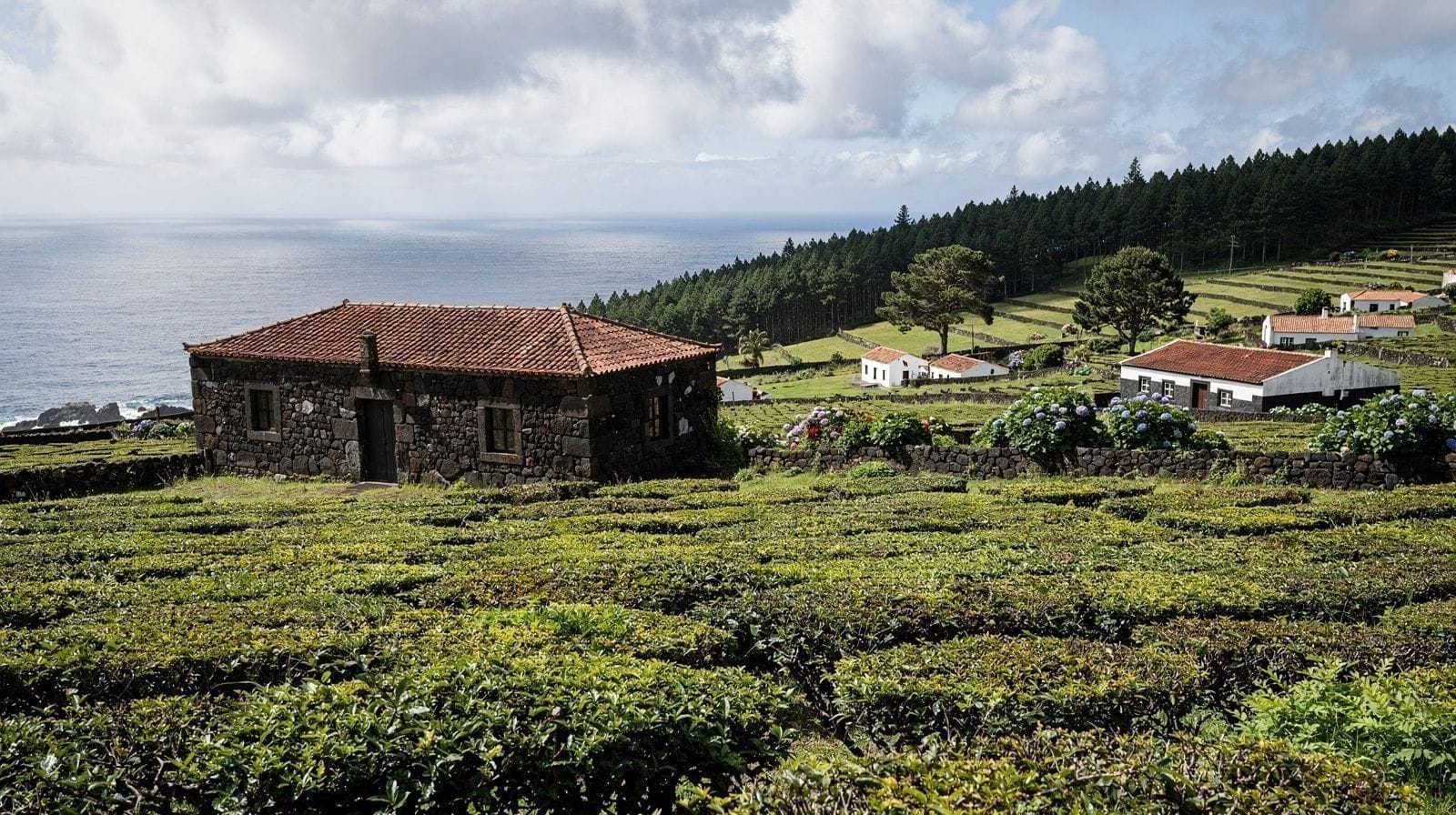 São Miguel Não É os Açores