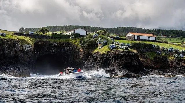 Boat tours