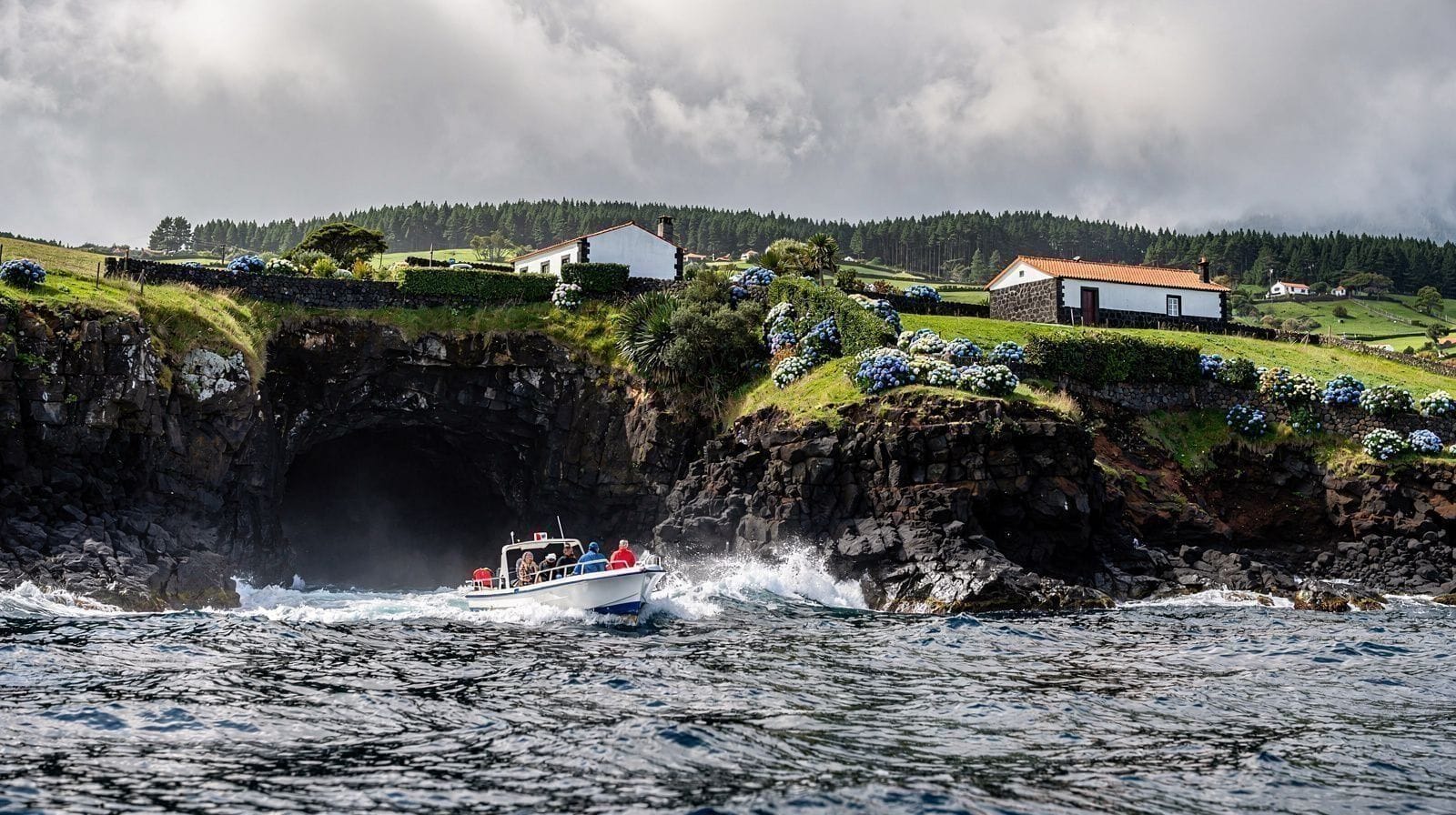 Boat Tours