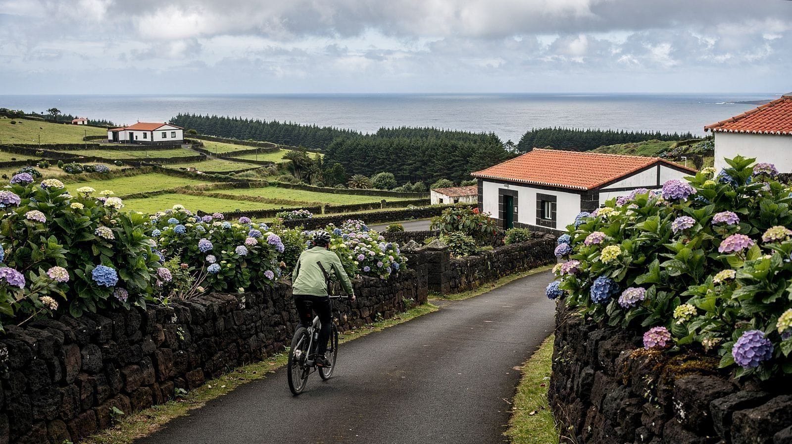 Cycling
