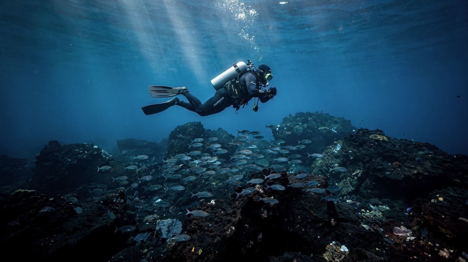 Diving & Snorkelling