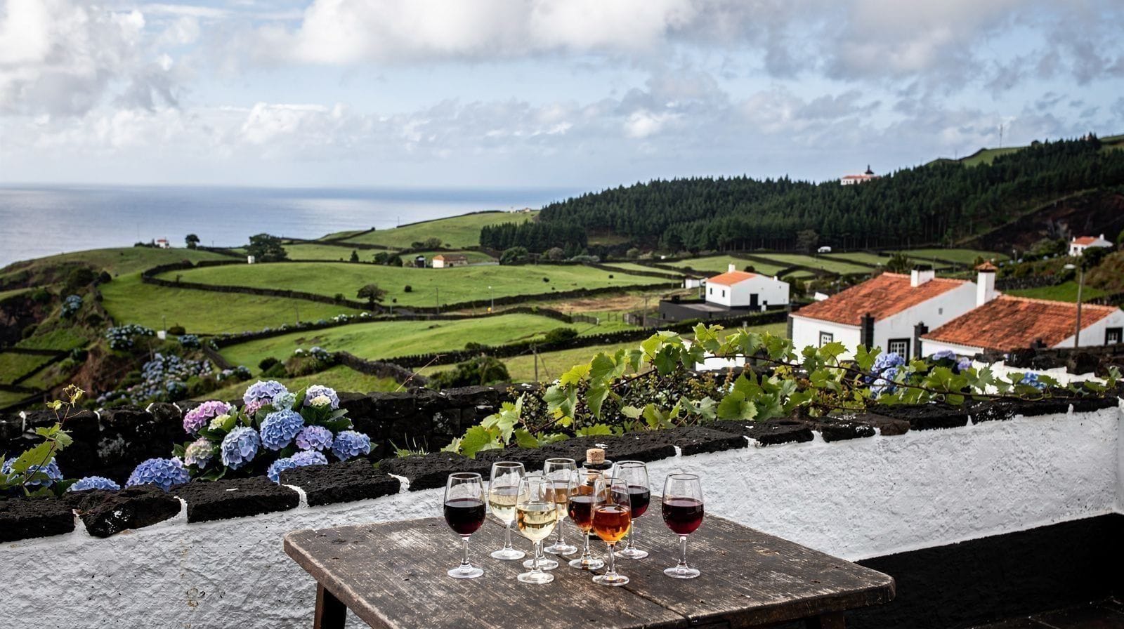Wine Tasting