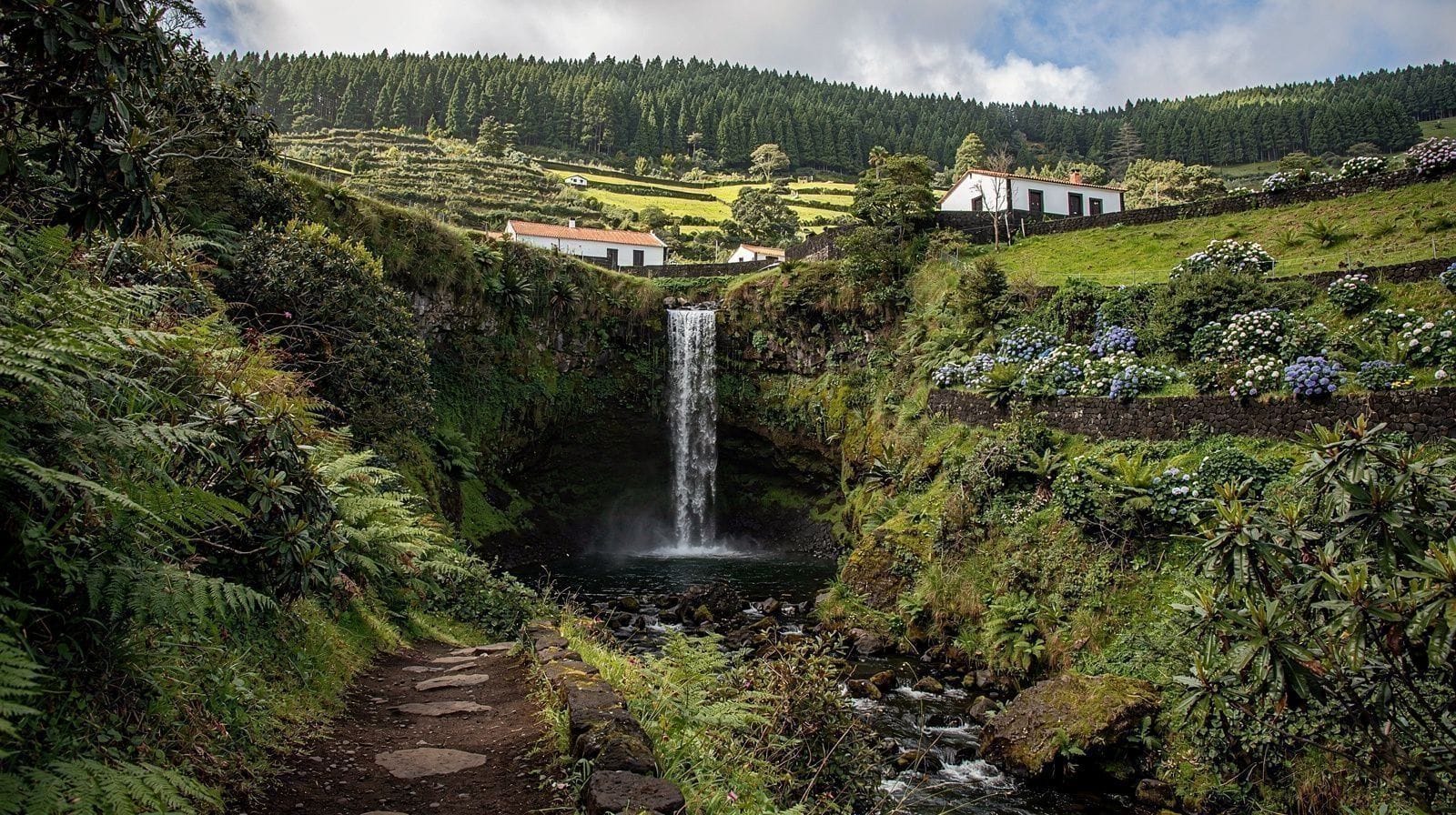 Faial da Terra