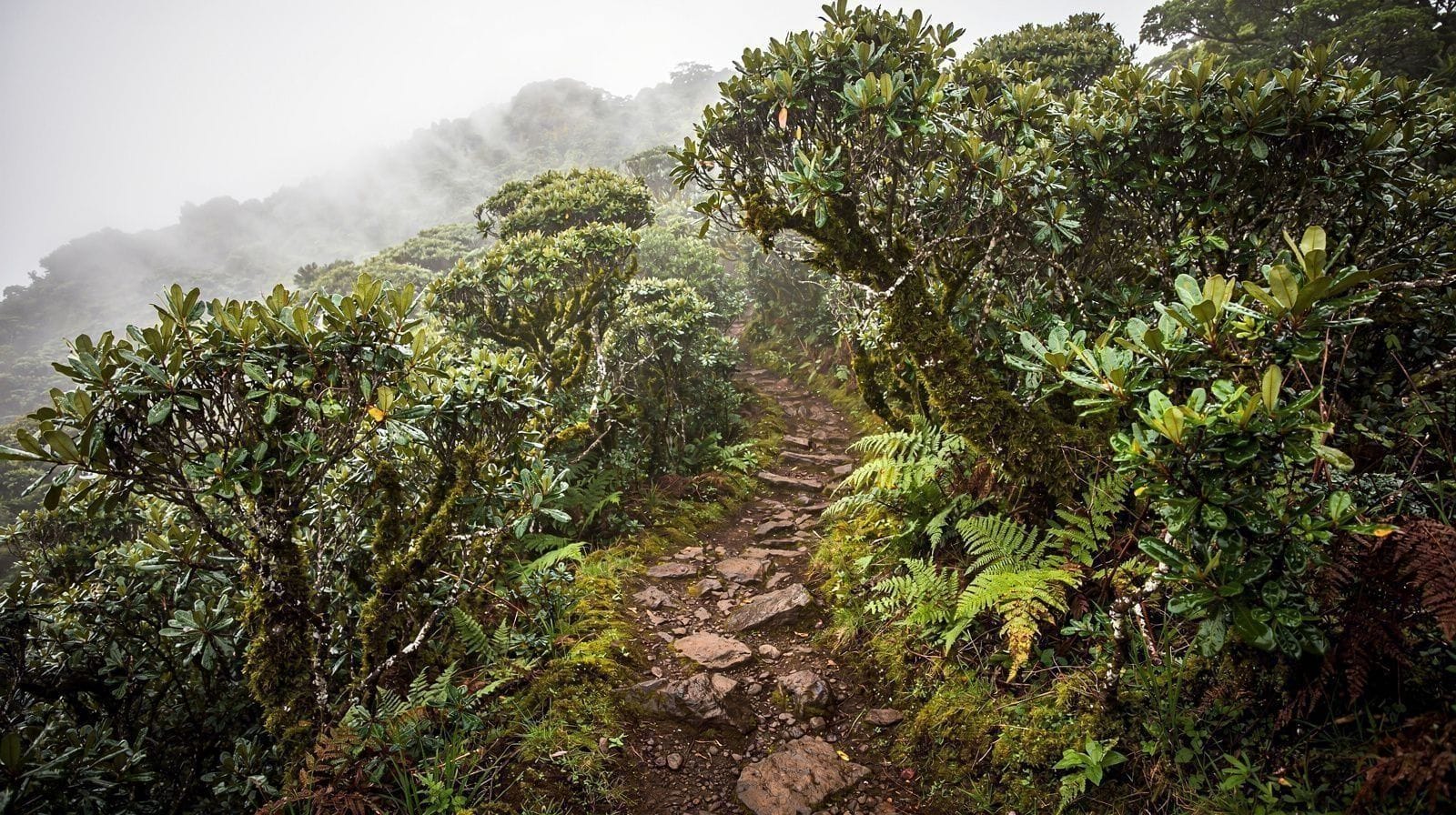 Serra da Tronqueira