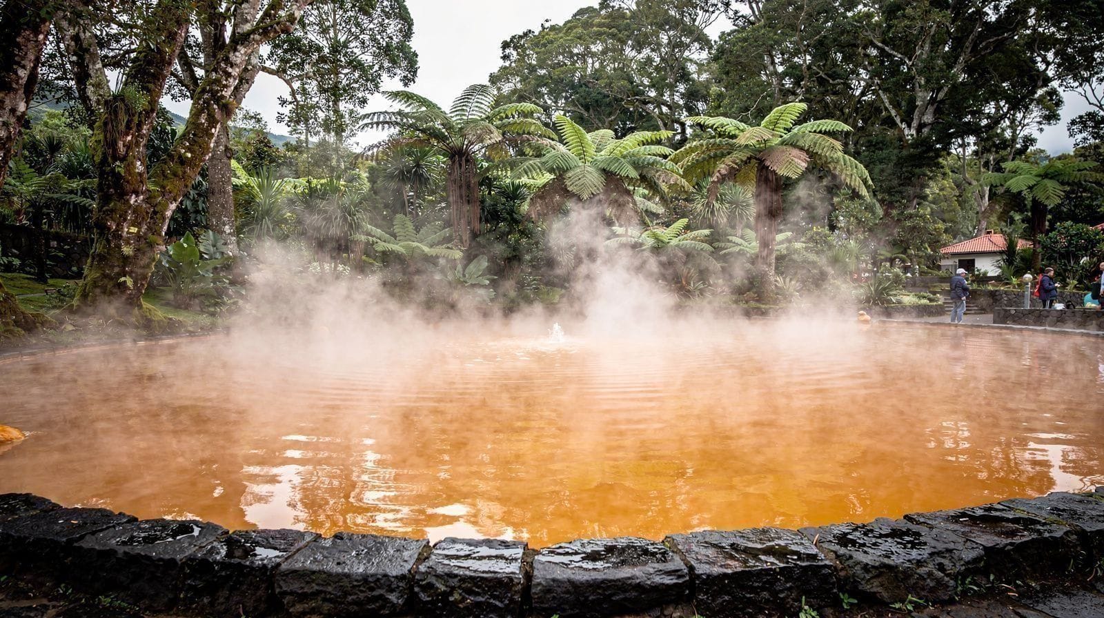 Terra Nostra Park, Furnas