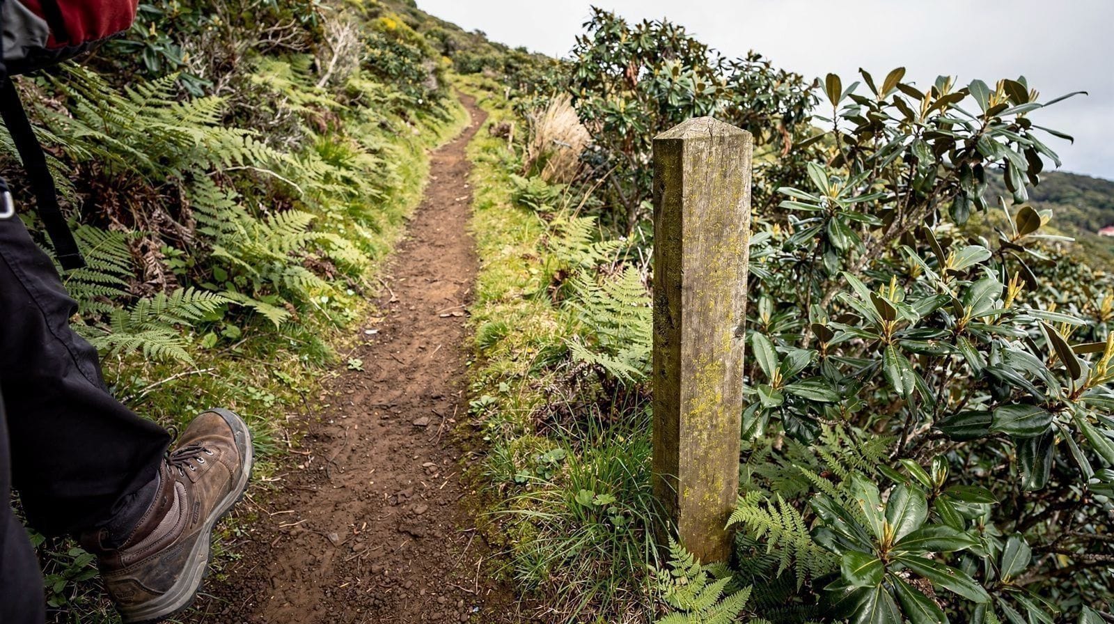 As Melhores Caminhadas em São Miguel, Comparadas