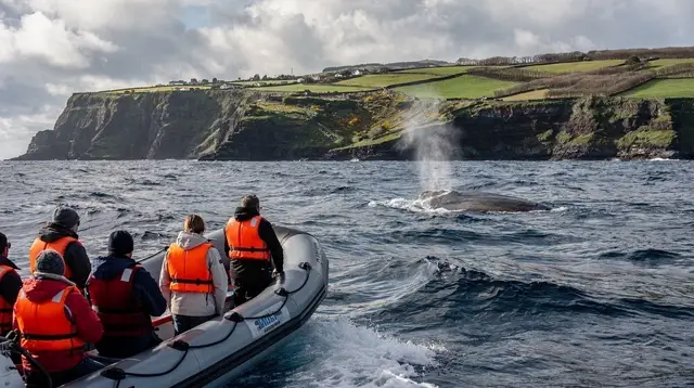 Blue, Fin and Sei Whales: São Miguel's Spring Migration