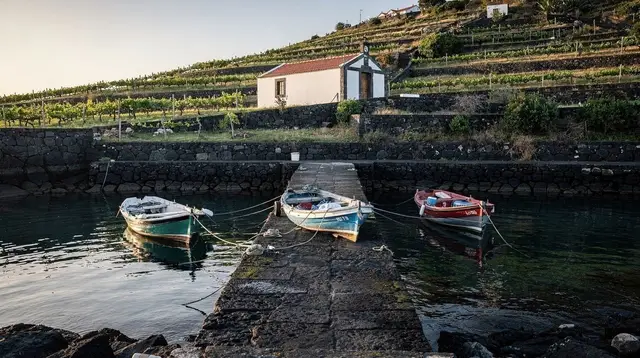 Caloura Harbour: South Coast Boat Trips from São Miguel