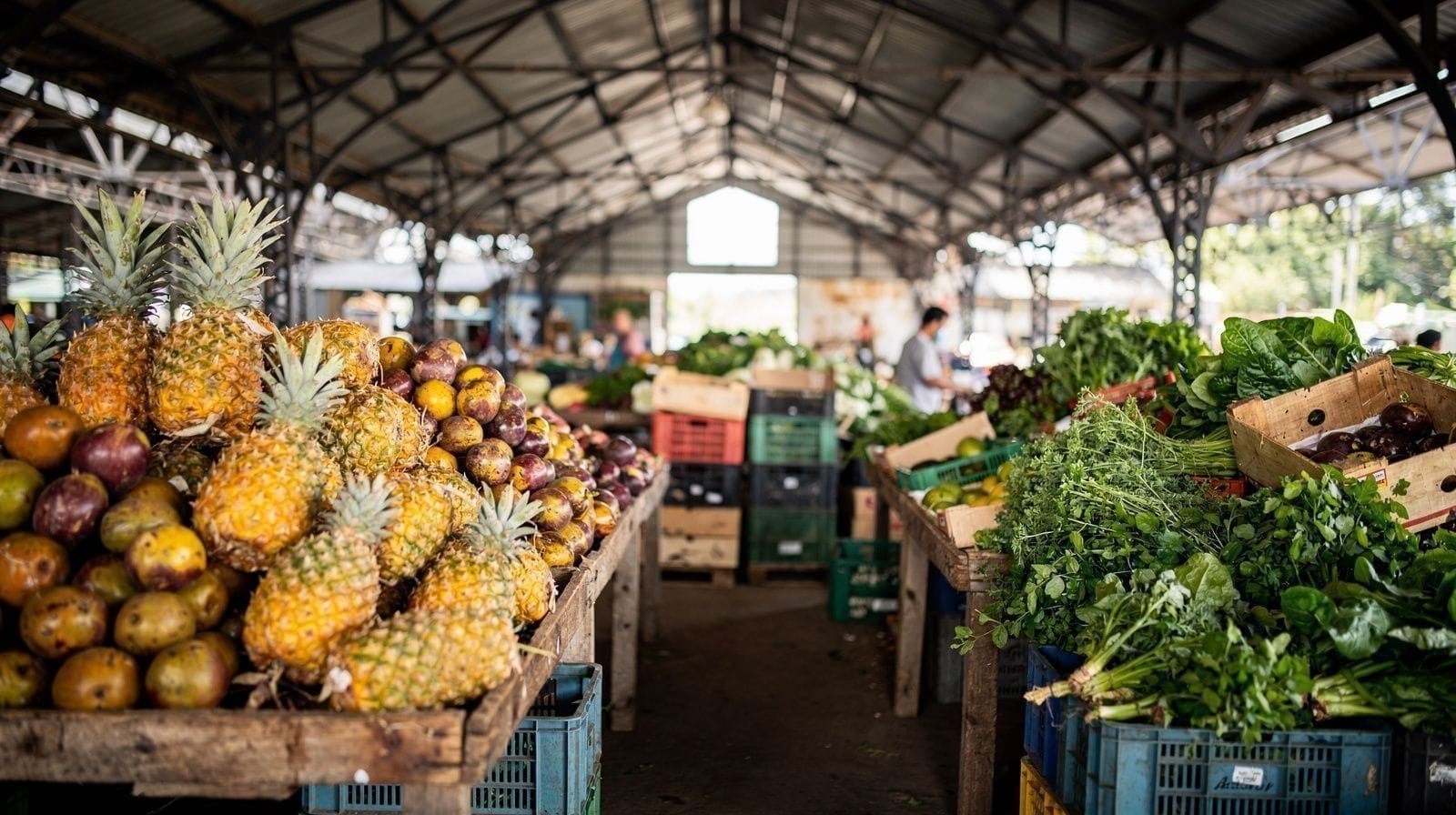 Mercado da Graça: o mercado coberto de Ponta Delgada