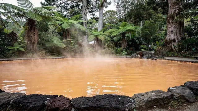 Poça da Dona Beija vs Terra Nostra Thermal Pool