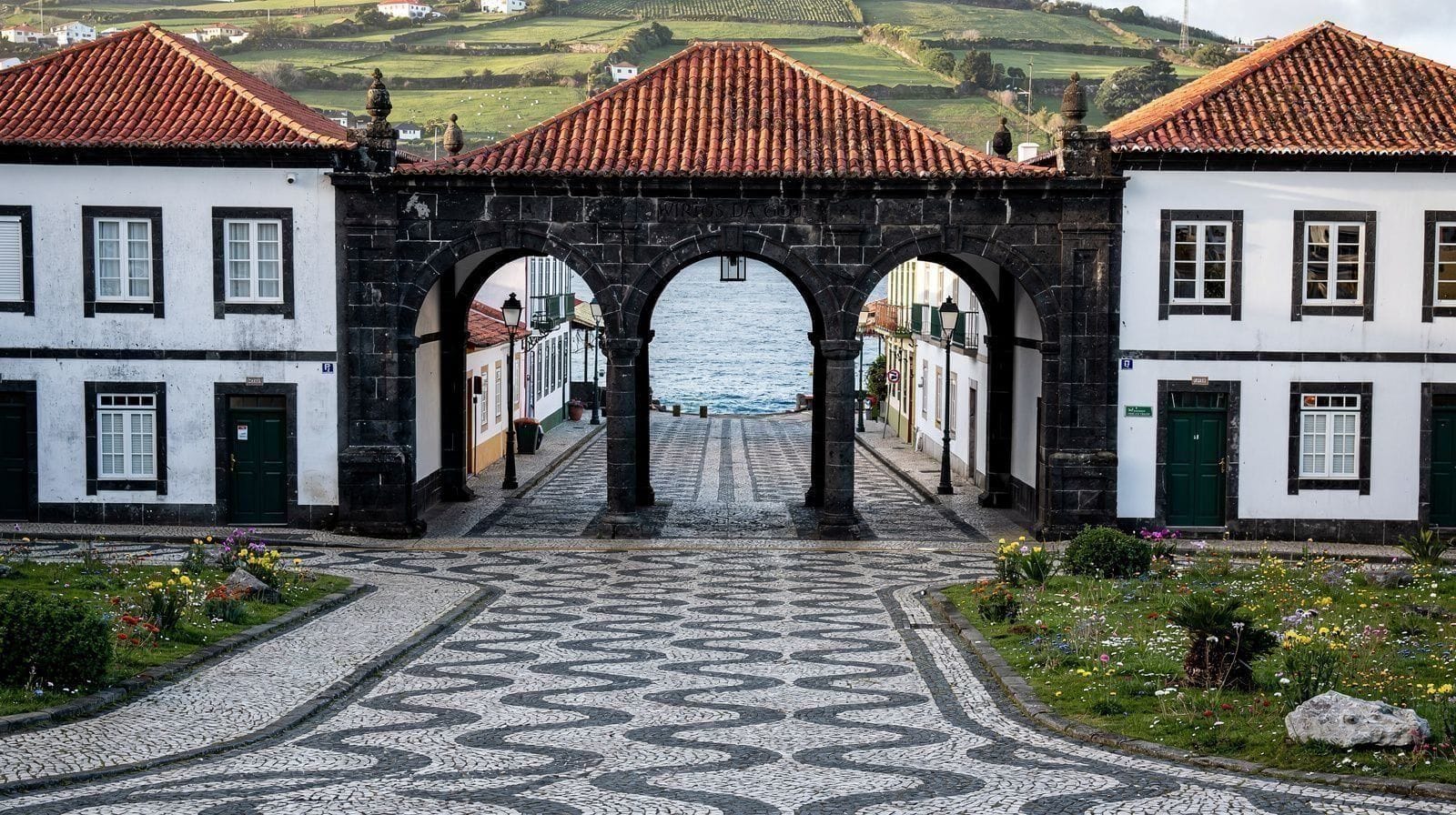 Observação de Baleias em São Miguel: Onde e Quando