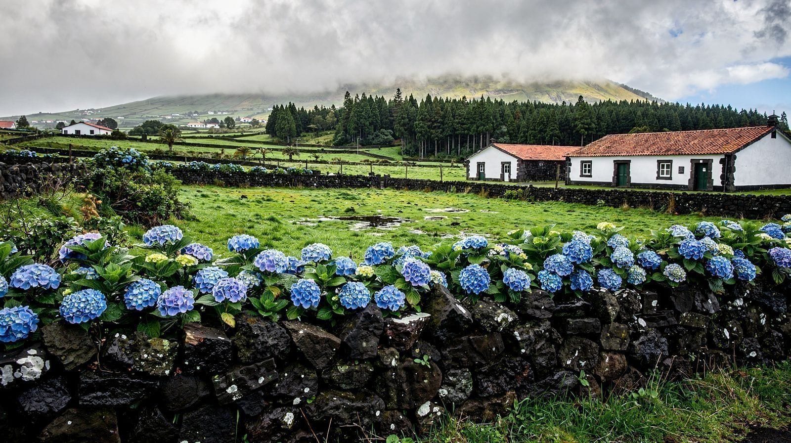 São Miguel Mês a Mês: O Que Esperar